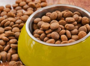 CROQUETAS PARA CACHORRO CROQUETAS PARA CACHORRO