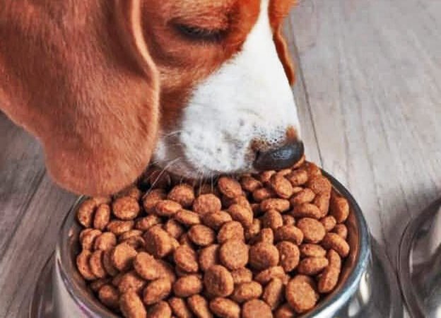 CROQUETAS PARA CACHORRO